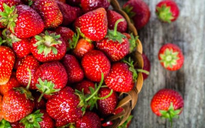 Erdbeeren sind begehrte Vitamin C-Wunder