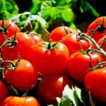 Tomaten: Allzweckwaffe in Gemüseform