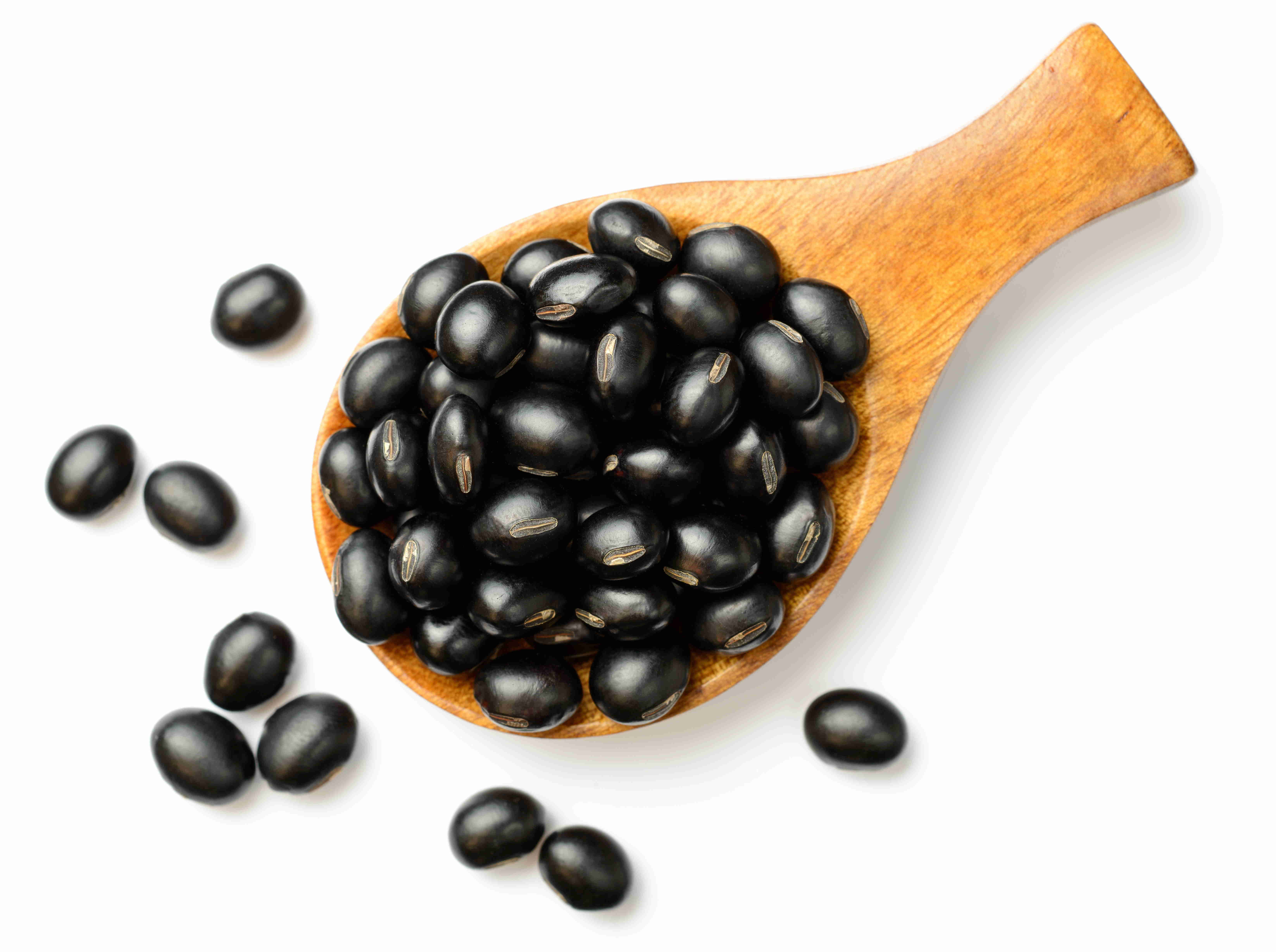Auch andere Hülsenfrüchte wie schwarze Bohnen kann man zu Tempeh fermentieren.(Foto: stock.adobe.de/Amy Lv)